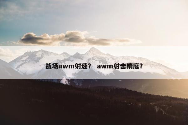 战场awm射速？ awm射击精度？