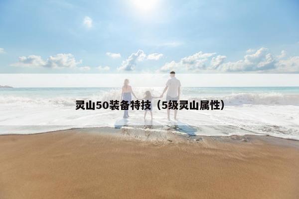 灵山50装备特技（5级灵山属性）