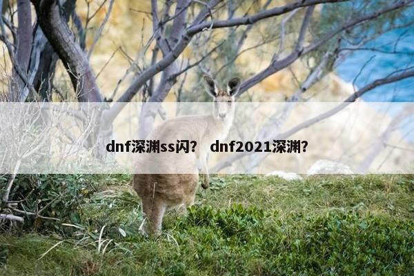 dnf深渊ss闪？ dnf2021深渊？
