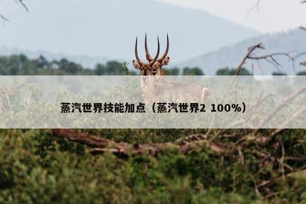 蒸汽世界技能加点（蒸汽世界2 100%）