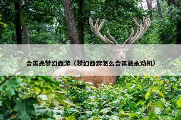 合善恶梦幻西游（梦幻西游怎么合善恶永动机）