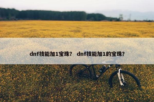 dnf技能加1宝珠？ dnf技能加1的宝珠？