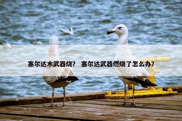 塞尔达木武器烧？ 塞尔达武器燃烧了怎么办？