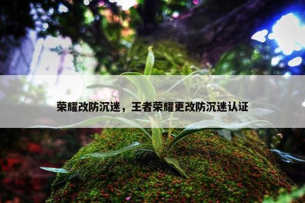 荣耀改防沉迷，王者荣耀更改防沉迷认证