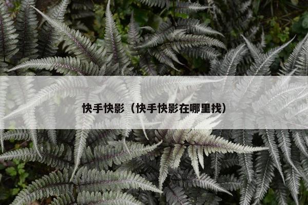 快手快影（快手快影在哪里找）