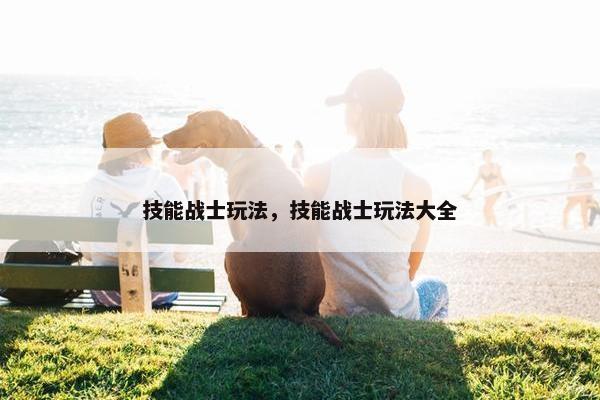 技能战士玩法，技能战士玩法大全