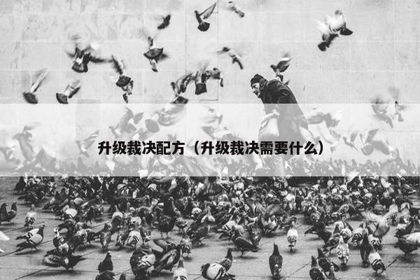 升级裁决配方（升级裁决需要什么）