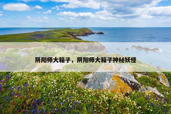 阴阳师大箱子，阴阳师大箱子神秘妖怪