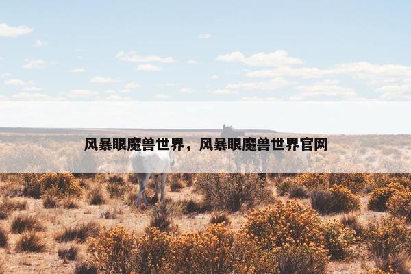 风暴眼魔兽世界，风暴眼魔兽世界官网