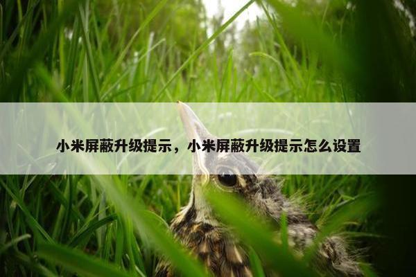 小米屏蔽升级提示，小米屏蔽升级提示怎么设置