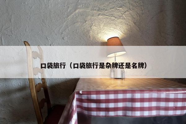 口袋旅行（口袋旅行是杂牌还是名牌）