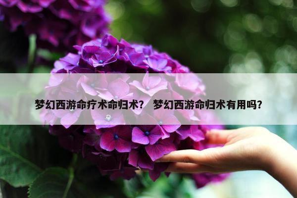 梦幻西游命疗术命归术？ 梦幻西游命归术有用吗？