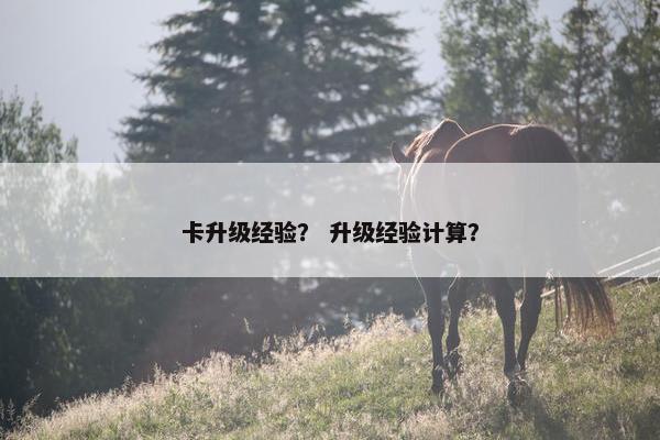 卡升级经验？ 升级经验计算？