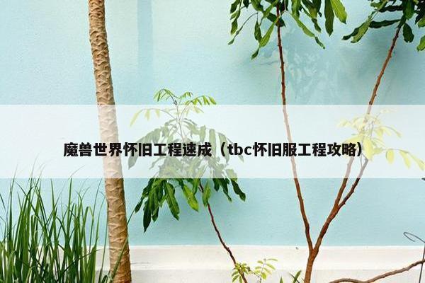魔兽世界怀旧工程速成（tbc怀旧服工程攻略）