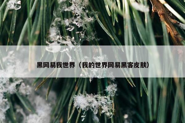 黑网易我世界（我的世界网易黑客皮肤）