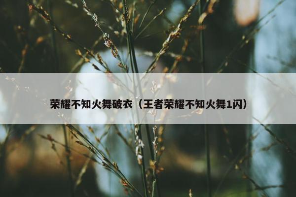 荣耀不知火舞破衣（王者荣耀不知火舞1闪）