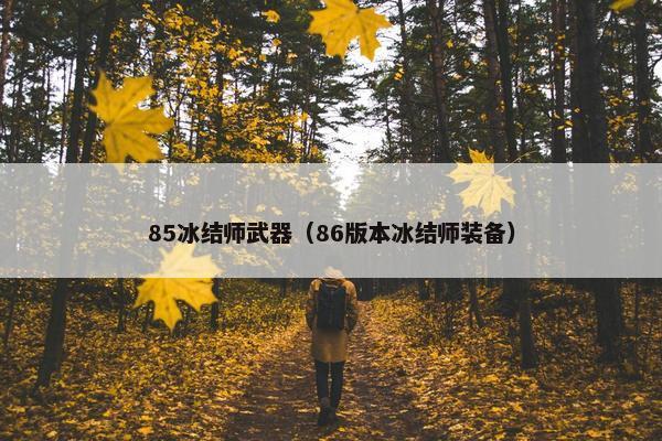 85冰结师武器（86版本冰结师装备）