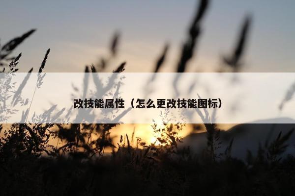 改技能属性（怎么更改技能图标）