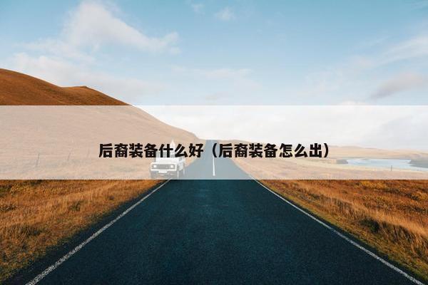 后裔装备什么好（后裔装备怎么出）