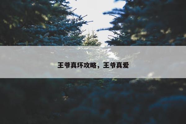 王爷真坏攻略，王爷真爱