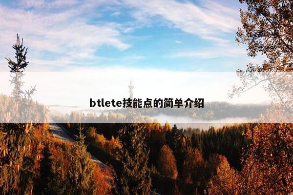 btlete技能点的简单介绍