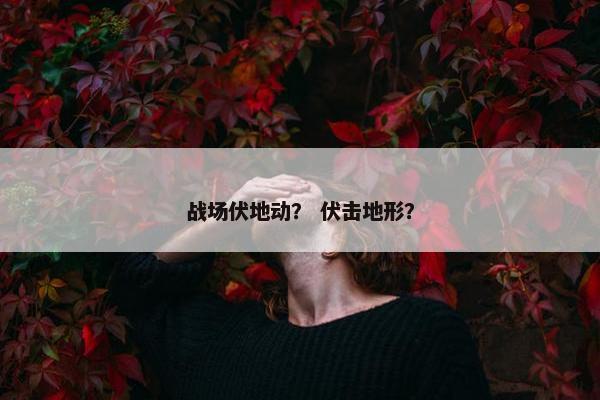 战场伏地动？ 伏击地形？