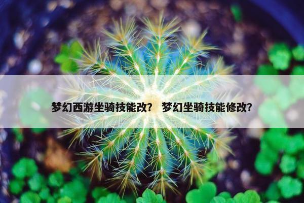梦幻西游坐骑技能改？ 梦幻坐骑技能修改？