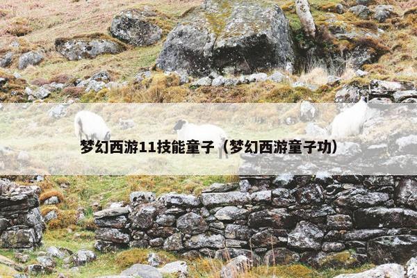 梦幻西游11技能童子（梦幻西游童子功）