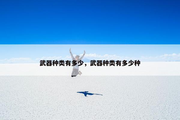 武器种类有多少，武器种类有多少种