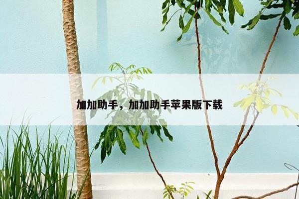 加加助手，加加助手苹果版下载
