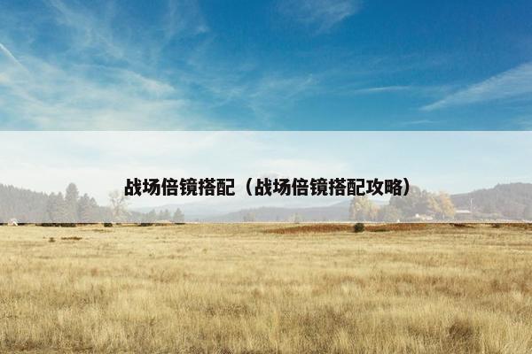 战场倍镜搭配（战场倍镜搭配攻略）