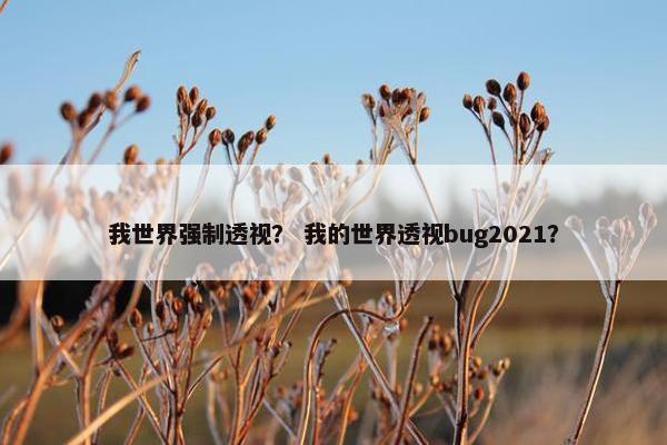 我世界强制透视？ 我的世界透视bug2021？