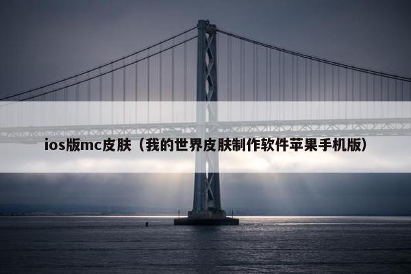 ios版mc皮肤（我的世界皮肤制作软件苹果手机版）