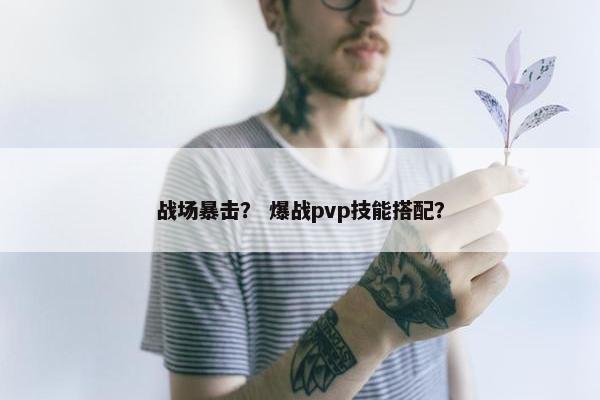 战场暴击？ 爆战pvp技能搭配？