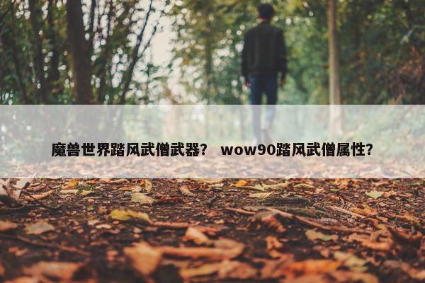 魔兽世界踏风武僧武器？ wow90踏风武僧属性？