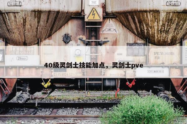 40级灵剑士技能加点，灵剑士pve