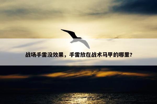 战场手雷没效果，手雷放在战术马甲的哪里?