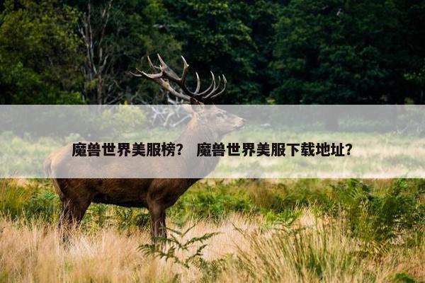魔兽世界美服榜？ 魔兽世界美服下载地址？