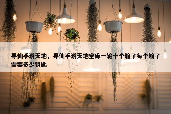 寻仙手游天地，寻仙手游天地宝库一轮十个箱子每个箱子需要多少钥匙