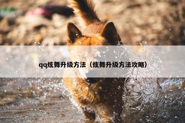 qq炫舞升级方法（炫舞升级方法攻略）