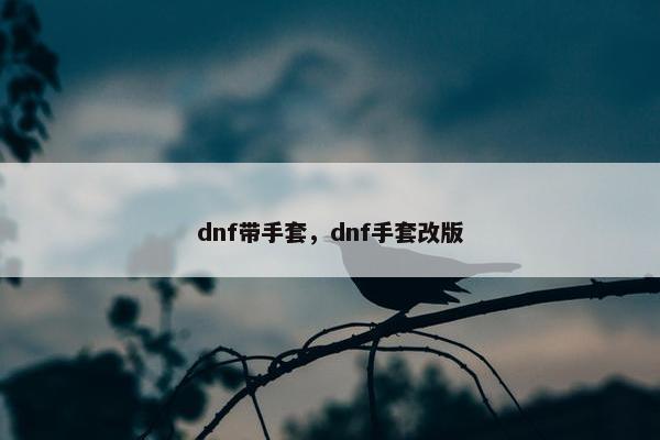 dnf带手套，dnf手套改版