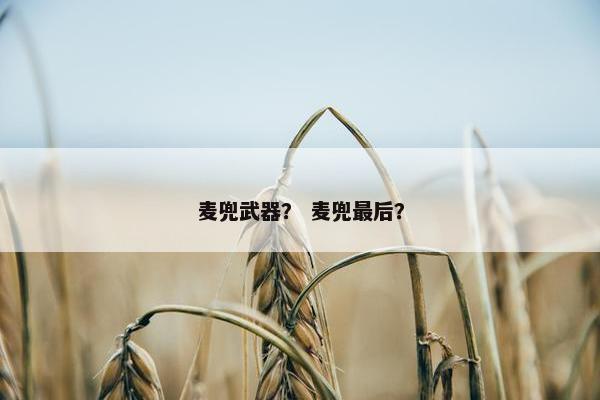 麦兜武器？ 麦兜最后？