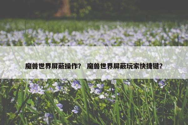 魔兽世界屏蔽操作？ 魔兽世界屏蔽玩家快捷键？