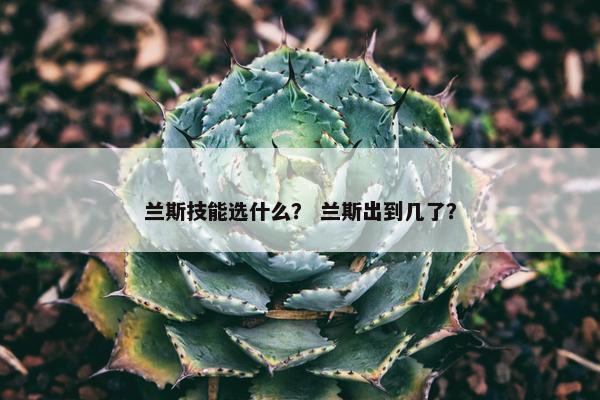 兰斯技能选什么？ 兰斯出到几了？