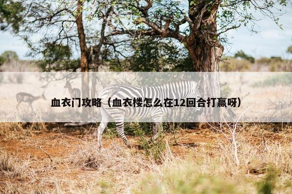 血衣门攻略（血衣楼怎么在12回合打赢呀）