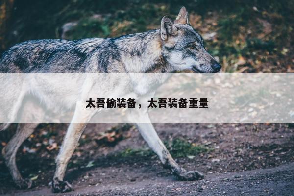 太吾偷装备，太吾装备重量