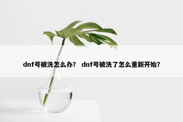 dnf号被洗怎么办？ dnf号被洗了怎么重新开始？