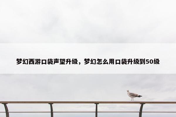 梦幻西游口袋声望升级，梦幻怎么用口袋升级到50级