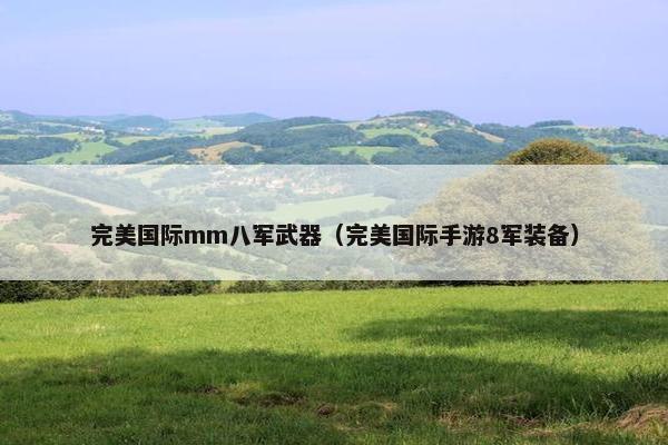 完美国际mm八军武器（完美国际手游8军装备）