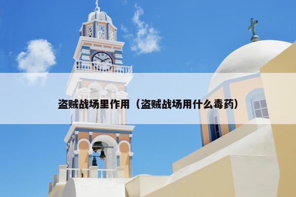 盗贼战场里作用（盗贼战场用什么毒药）